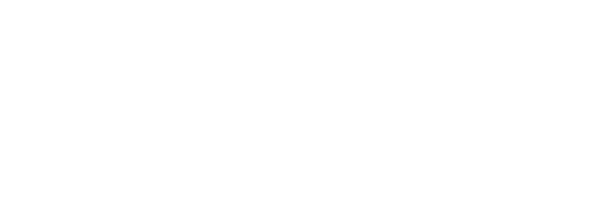 Deep Dish Data logo